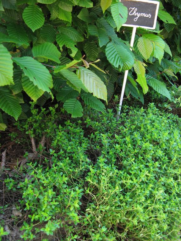 Willa Jardin De Lieze Maldegem Zewnętrze zdjęcie