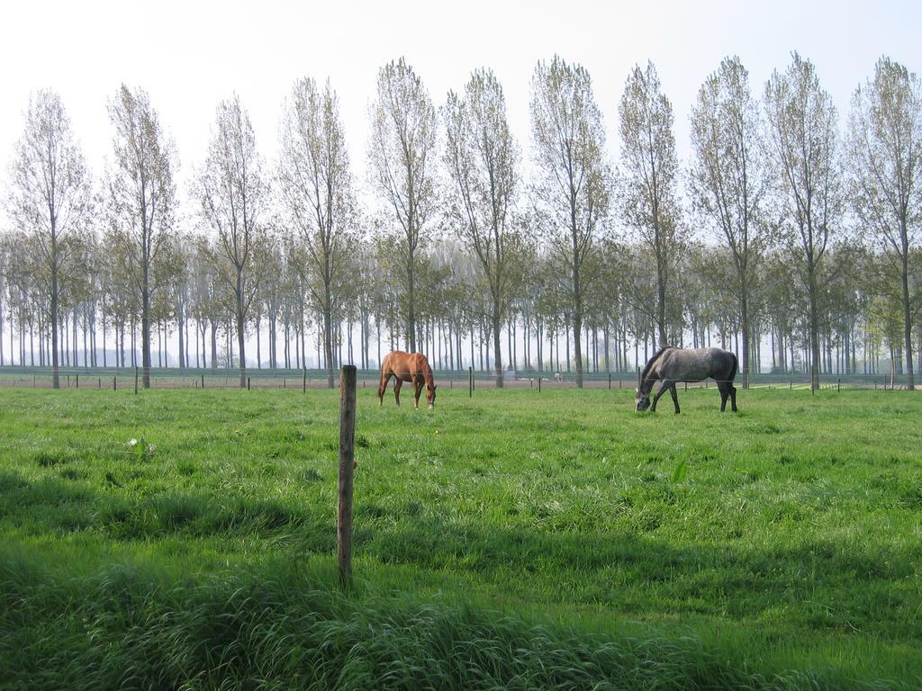 Willa Jardin De Lieze Maldegem Zewnętrze zdjęcie